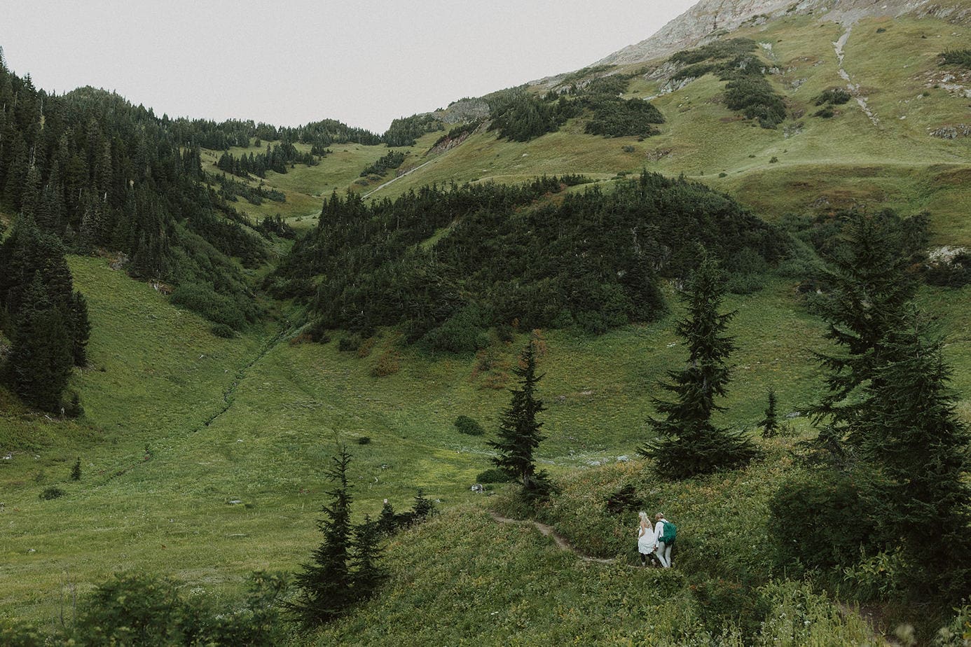 Couple hiking through a green meadow in BC during their elopement